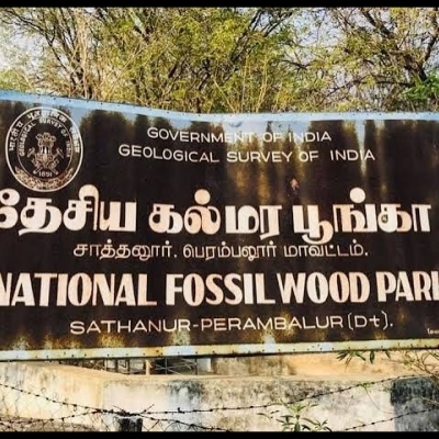 National Fossil Wood Park - Sathanur