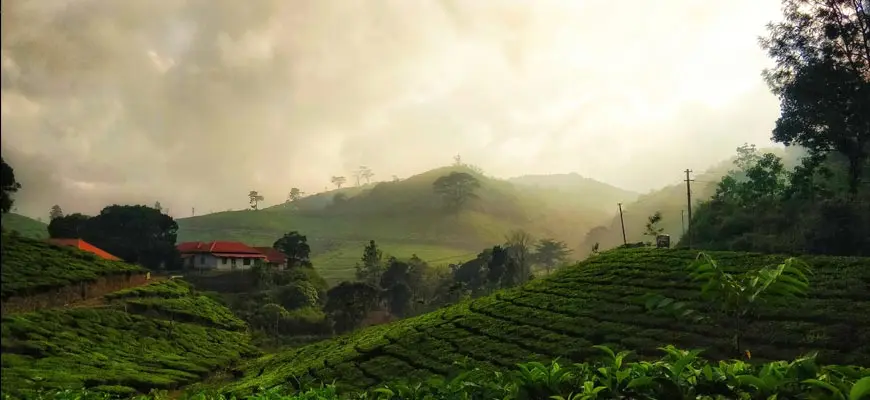 Trekking In Kodaikanal, Dindigul Tours and Packages: Best Time To Visit | tamilnadu tourism