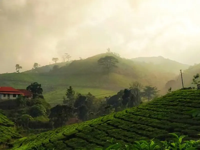 Honeymoon Tour packages - Tamilnadu Tourism Travel