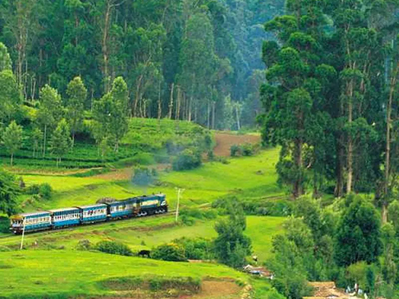 Chennai, Kanchipuram - Awesome Tamil Nadu Tour Package - Taminadu Tourism Travel
