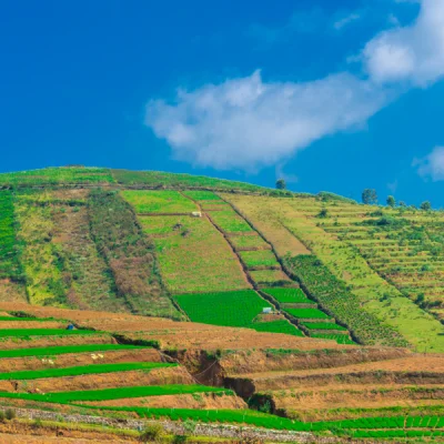 Nilgiri