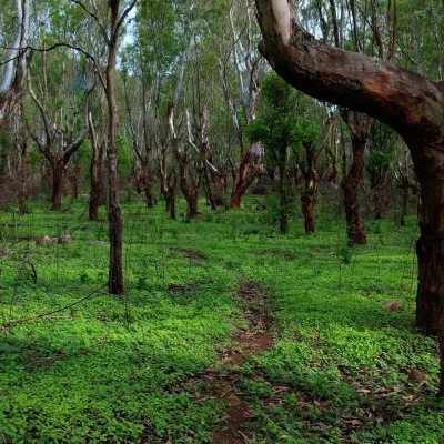 Tirupattur
