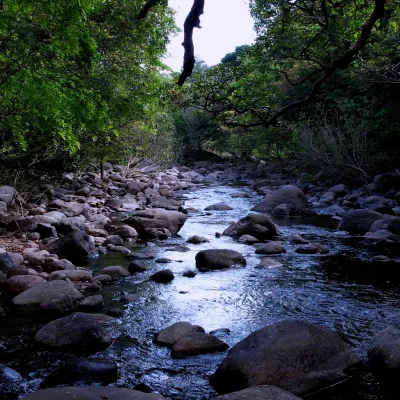 Tenkasi