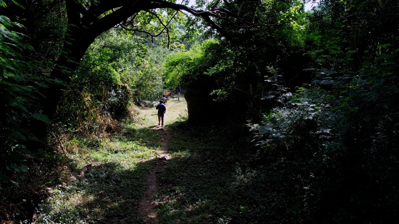 Theerthaparai Trek image 2