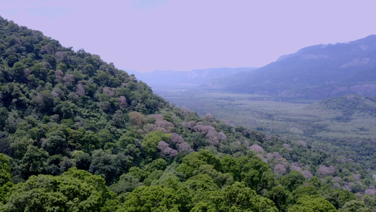 Sadivayal – Siruvani Trek