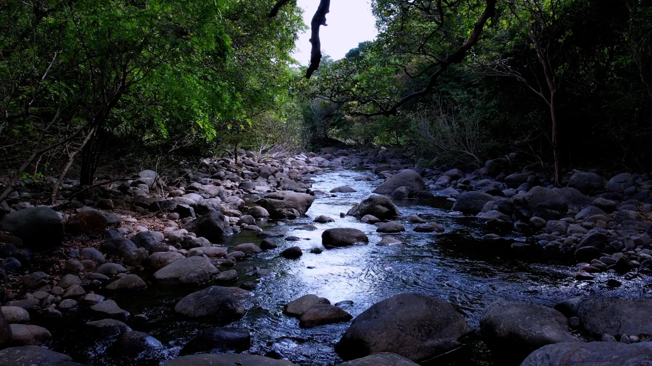 Theerthaparai Trek image 4