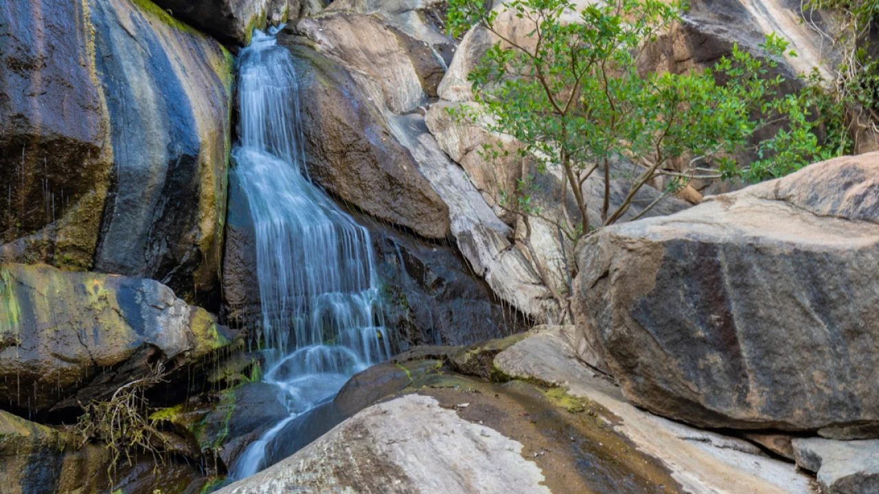 Jalagamparai Waterfall Trek image 2