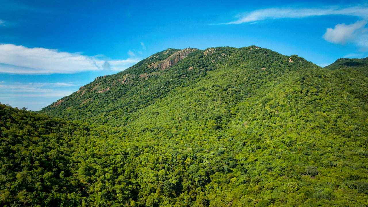 Kullar caves (Tiruvannamalai)
