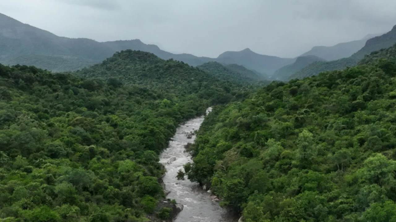 Chinnar – Kottar Trek